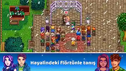 Stardew Valley APK Ekran Görüntüsü 2